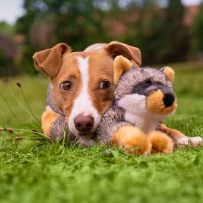 Dog lying on grass with a plush toy resembling a fox