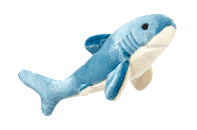 Blue plush shark dog toy on a white background