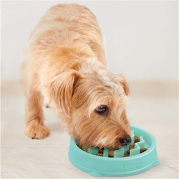 Outward Hound Fun Feeder Mint Wave Slo-Feeder Bowl