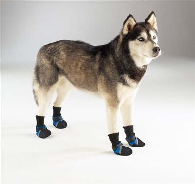 Guardian Gear® Dog Boots