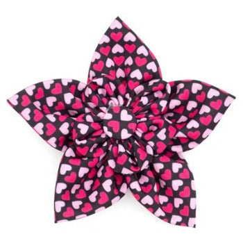 The Worthy Dog Black with Pink & Red Hearts Heartthrow Dog Collar Bow