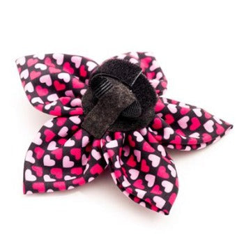 The Worthy Dog Black with Pink & Red Hearts Heartthrow Dog Collar Bow