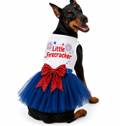 Dog wearing a 'Little Firecracker' outfit with a red bow on a white background