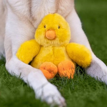 Fluff & Tuff Howie Duck Dog Toy