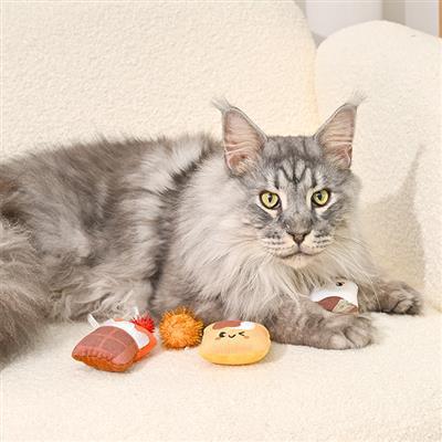 Gray cat with colorful cat toys on a white surface