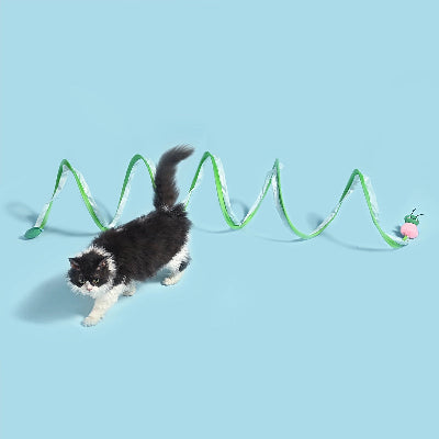 Cat playing with a green wiggly toy on a blue background