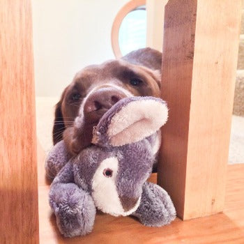Fluff & Tuff Jessica Bunny Plush Dog Toy