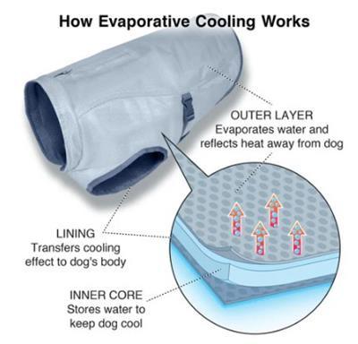 Diagram explaining how evaporative cooling works on a dog coat with labeled parts.