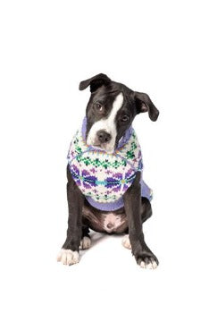 Dog wearing Chilly Dog Lavender Flowers Dog Sweater