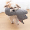 Dog playing with gray dinosaur dog toy