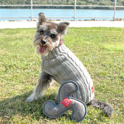 Dog sitting in grass with gray frisbee dog toy