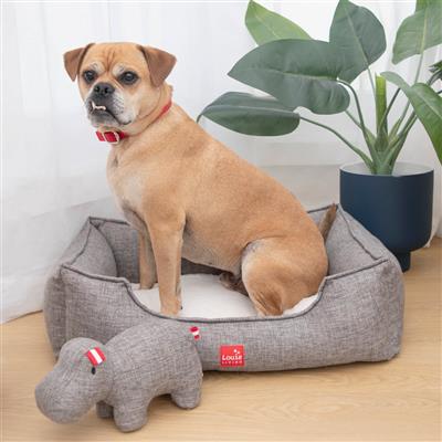 Dog sitting in gray bed with gray elephant dog toy