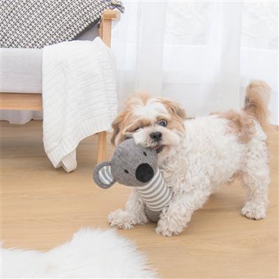 Dog playing with gray and white striped koala rope dog toy