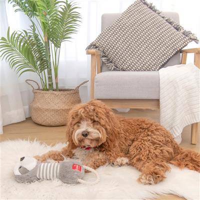 Dog playing with gray and white striped rope dog toy.