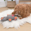 Dog on rug playing with gray and orange squirrel rope dog toy