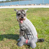 Dog in sweater sitting in grass with bone shaped dog toy