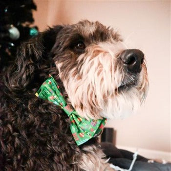 Huxley & Kent Merry & Bright Dog Bow Tie