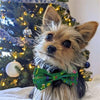 Huxley & Kent Merry & Bright Dog Bow Tie