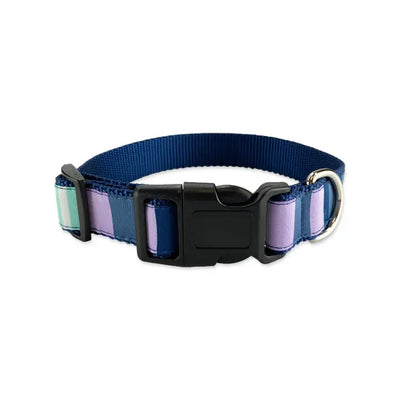 Metro Stripes Dog Collar & Leash Collection