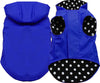 Blue Dog Raincoat with Black Lining and Polka Dots