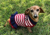 Dallas Dogs Miss Liberty Red White & Blue Dog Sweater Dress