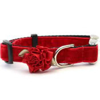 Diva Dog Mistletoe Red Velvet Dog Collar