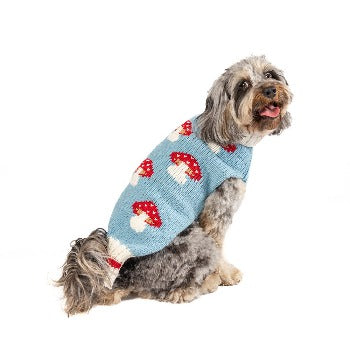 Dog wearing light blue Chilly Dog Mushroom Alpaca Sweater