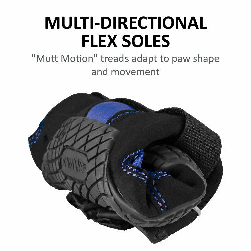 Top view of black and blue dog boot on white background