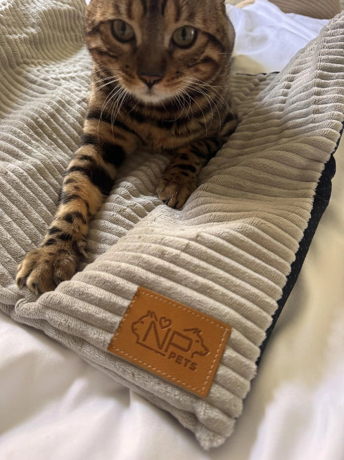 Cat sitting on mat with NP Pets logo