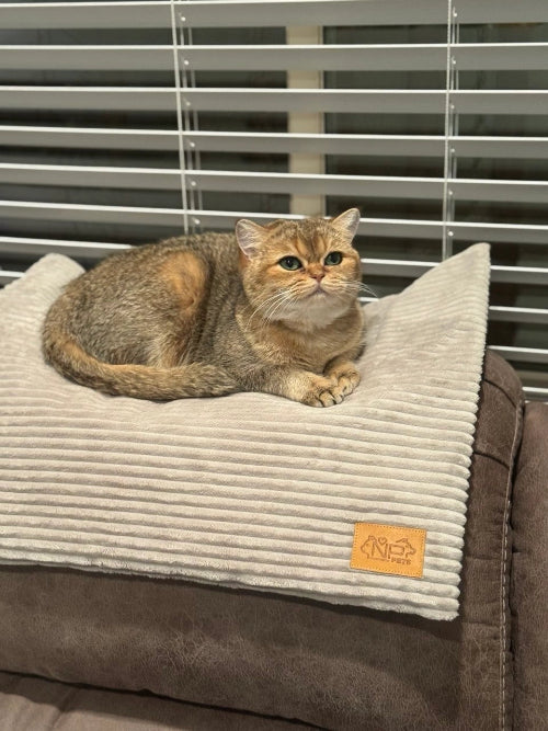 Cat lying on mat on brown sofa with window and blinds in background