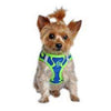 American River Choke-Free Dog Harness in Cobalt Sport Neon Blue