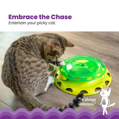 Catnip Chaser Track Cat Toy