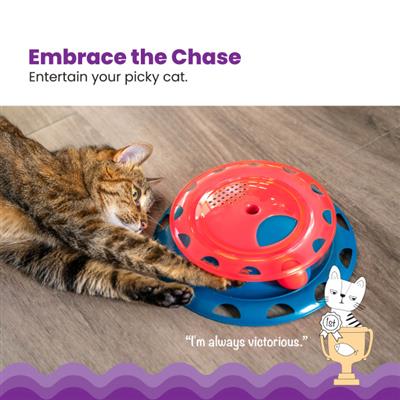 Catnip Chaser Track Cat Toy