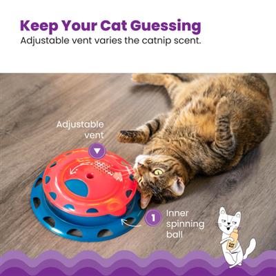 Catnip Chaser Track Cat Toy