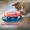 Catnip Chaser Track Cat Toy