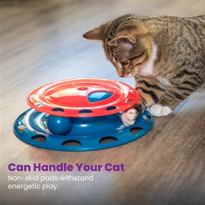 Catnip Chaser Track Cat Toy