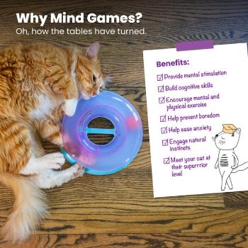 Race N' Chase Interactive Cat Ball Track Toy with Catnip Diffuser
