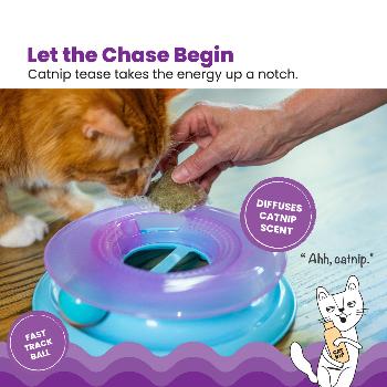 Race N' Chase Interactive Cat Ball Track Toy with Catnip Diffuser