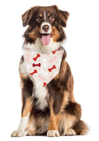 Dog wearing a bandana with bone and heart pattern on a white background