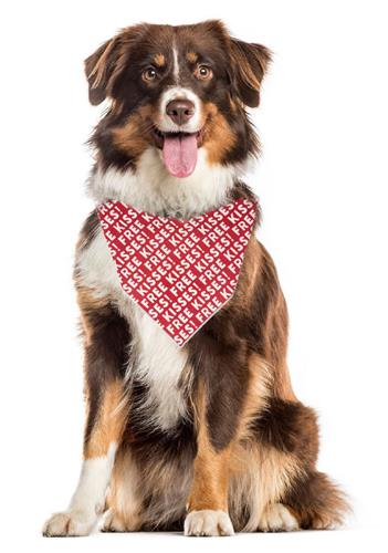 Dog wearing a red bandana with white patterns on a white background