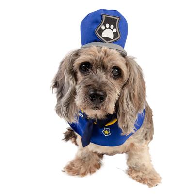 Dog wearing a blue police costume with a hat on a white background