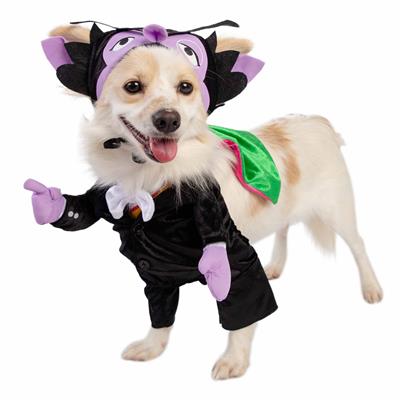 Dog wearing a Count Dracula costume with a purple headpiece and cape on a white background