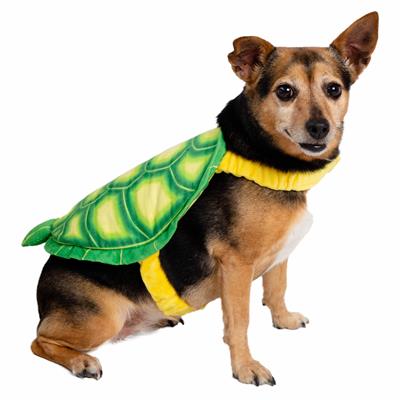 Dog wearing a turtle costume on a white background