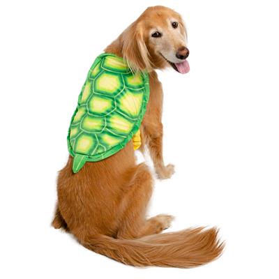 Dog wearing a turtle shell costume on a white background