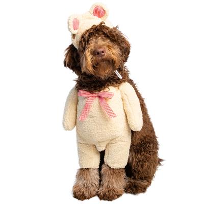 Dog wearing a teddy bear costume with ears and bow tie on a white background