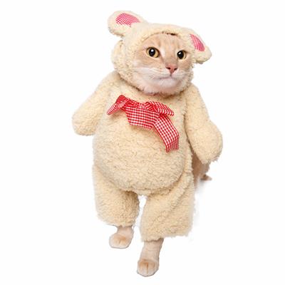 Cat in a fluffy beige teddy bear costume with a bow on a white background