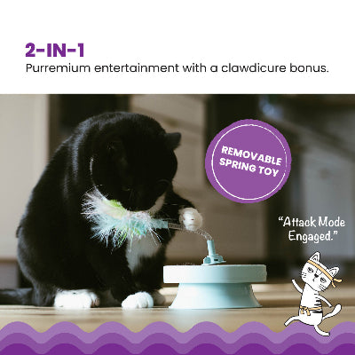 2-in-1 Spring Cat Toy & Cat Ball Track Topper