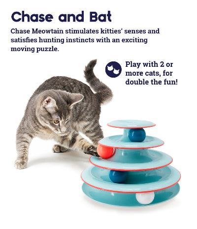 Chase Meowtain Cat Track Toy