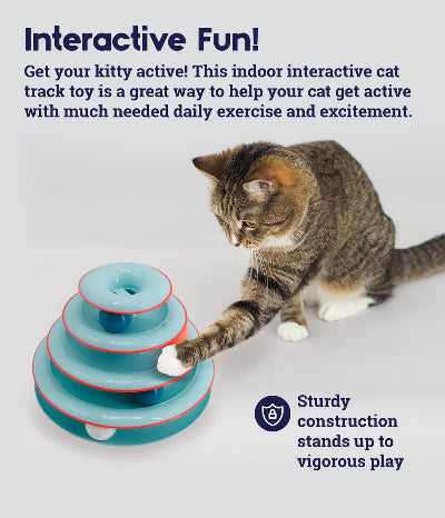Chase Meowtain Cat Track Toy