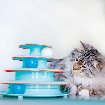 Chase Meowtain Cat Track Toy